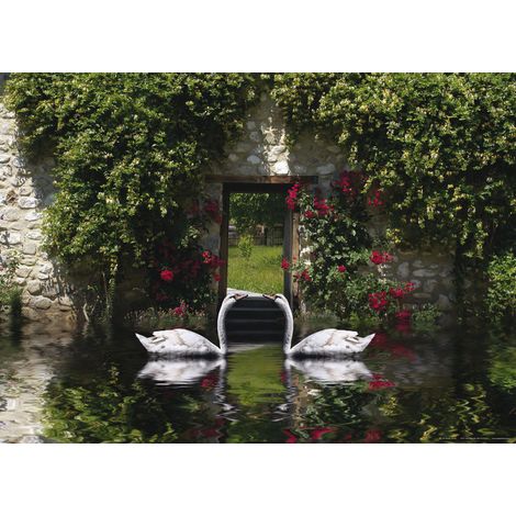 Swans, photo murale, 160 x 115 cm, 1 part (1/2)