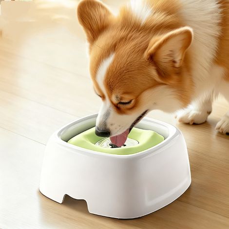 Gamelles d'eau pour animaux, gamelles flottantes pour chiens, fontaines à eau pour animaux, bouteilles d'eau anti-éclaboussures pour chats et chiens (1/5)
