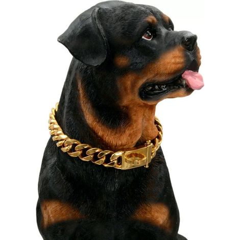 Hundehalsband – Edelstahl 316 mit 18-karätiger Vergoldung – Sicherer Doppelknopfverschluss – Bissfest – Verstellbare Länge 40–50 cm – 1 Stück (1/5)