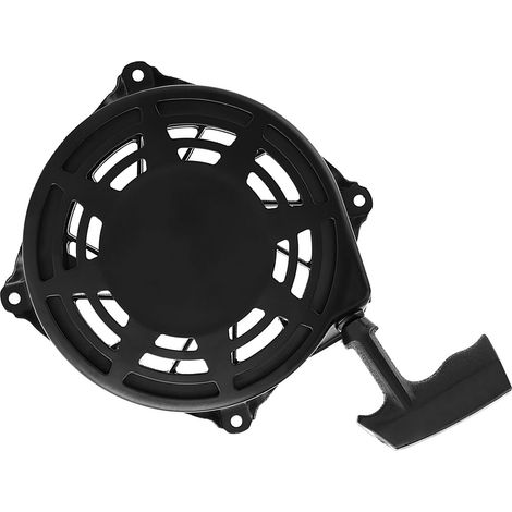 Disque de démarrage moteur Briggs amélioré n° 497680 (1/5)