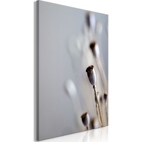 Quadro - Dried Poppies (1 Part) Vertical - 80x120 (1/4)