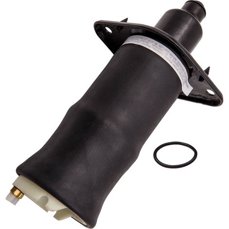 Trasero Izquierdo Muelle Suspensión Neumática for Audi A6 C5 4B Allroad Quatt (1/5)
