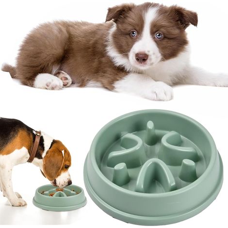 Gamelle Anti-Glouton pour Chien, Slow Feeder avec 3 Tapis Antidérapants Intégrés - Diamètre 21cm - pour Chiens de Petite et Moyenne Taille - Favorise Une Digestion Saine - Vert (1/5)