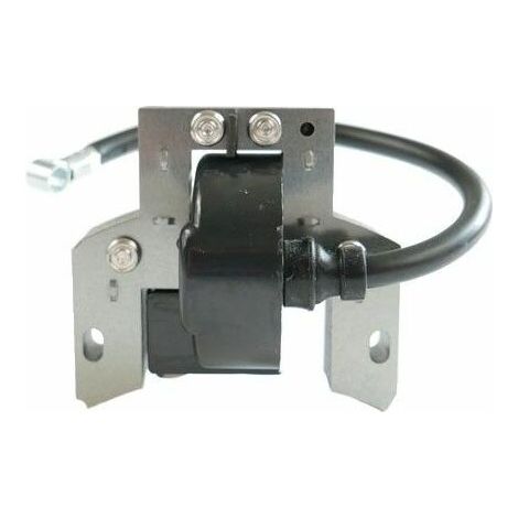 Bobine allumage Briggs et Stratton 591420 (1/4)