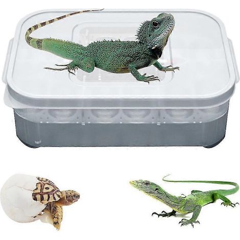 Filiyano-Incubateur pour reptiles (lézards, geckos, serpents) avec 12 plateaux d'œufs (1/3)
