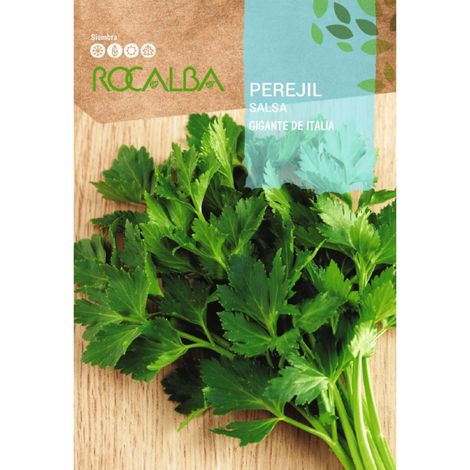 Rokalba -Samen Perejil Giant von Italien 500G