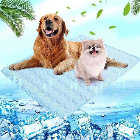 Tapis Rafraîchissant Chien, Tapis Coussin Réfrigérant Chien Froide Chien Tapis Lavable pour Animaux de Compagnie Adapté aux Petits Chiens et Chats, Bleu Clair, 40x30cm (1/3)