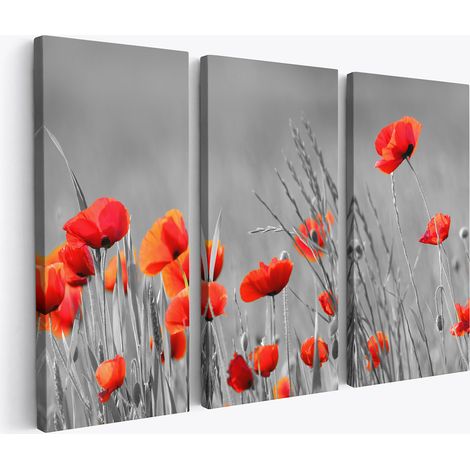 Tableau triptyque sur toile - Coquelicots (1/2)