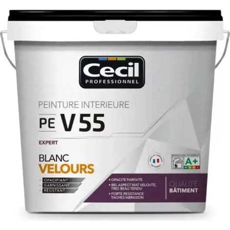 Peinture velours CÉCIL PE V55 Blanc 5 L