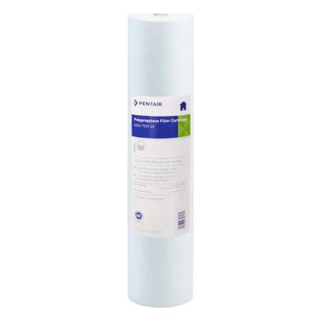 Filtre à Eau Pentair 7525 20 Pouces Big Blue