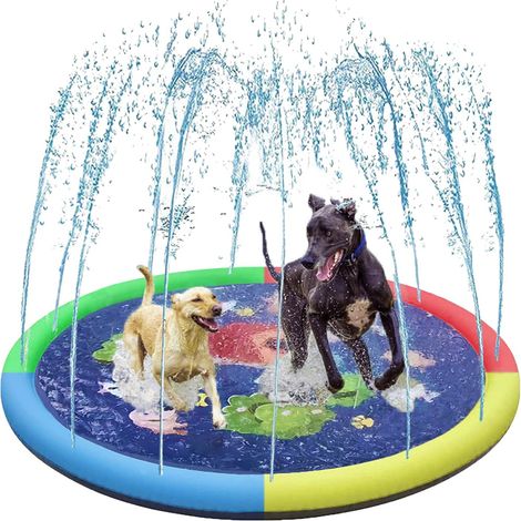 Piscine pliable pour chien et enfants (1/5)