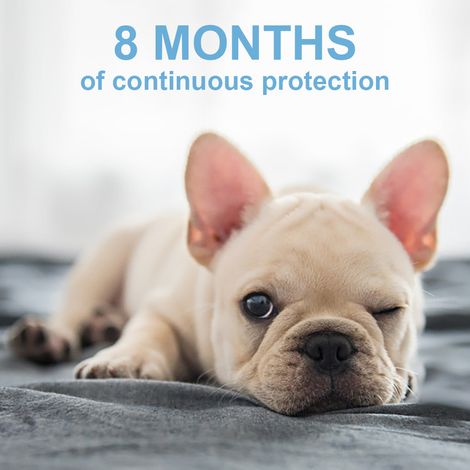 Flohhalsband für Hunde: Schutz vor Flöhen und Zecken für 8 Monate für Hunde ab 3 Monaten (3er-Packung). (1/5)