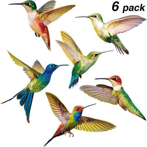 Lot de 6 autocollants pour fenêtres colibri - autocollants double face - protection contre les collisions d'oiseaux - pour portes et fenêtres vitrées
