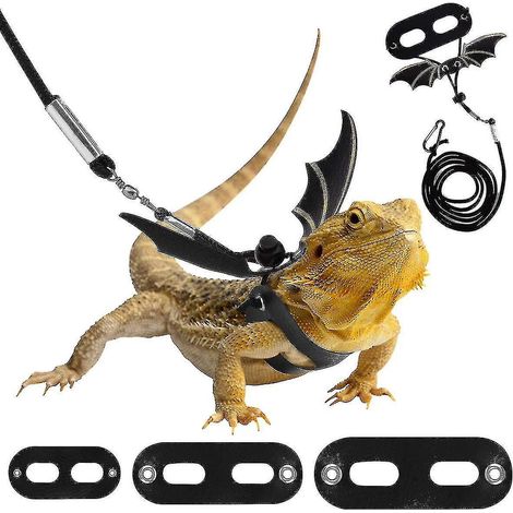Laisse en cuir pour reptiles, harnais d'extérieur avec ailes de chauve-souris, laisse réglable, 3 tailles --- (1/4)