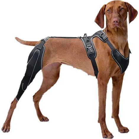 Attelle De Hanche pour Chien avec Stabilisateurs Métal (1/5)