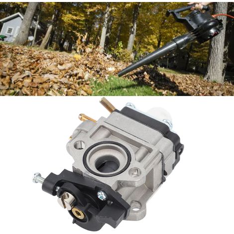 Convient au souffleur à jet d'essence Ryobi RY25AXB 25cc (1/5)