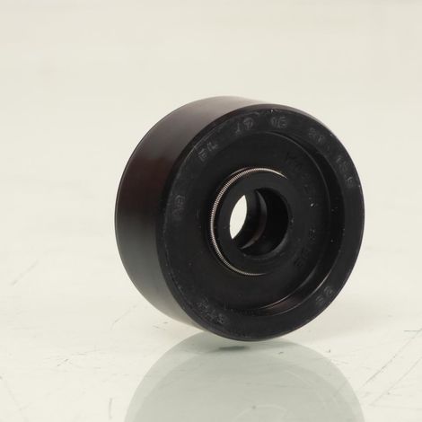 Simmerring Wasserpumpenwelle Ø10x31x13.5mm für Motorrad Fantic (1/5)