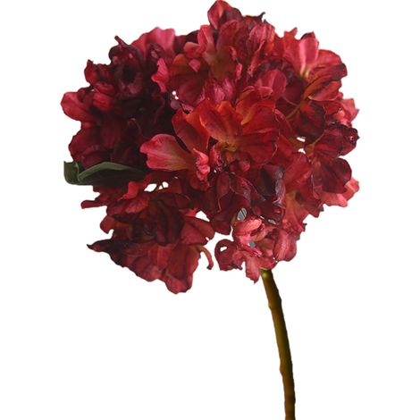Fausses Fleurs D'hortensia, Fleur de Simulation de Bord brûlé pour la Décoration de Centres de Table de Mariage de Fête à Domicile (210826DY02-7) (1/5)