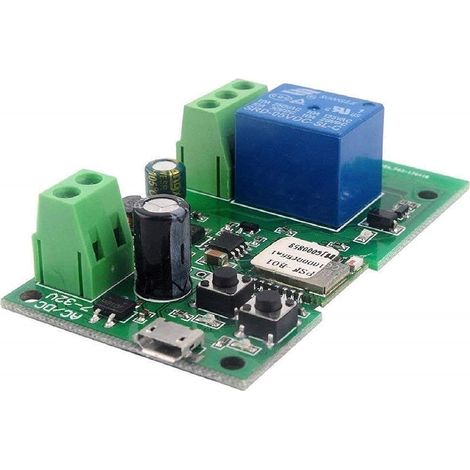 Module de commutation de relais WIFI, mode auto-verrouillage/momentané, porte de Garage à commande vocale à distance WIFI, maison intelligente bricolage (app, 1CH) (1/5)