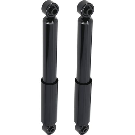 2x Ammortizzatore for FIAT PANDA 2012-2025 348058 51846485 Posteriore 4670560AB