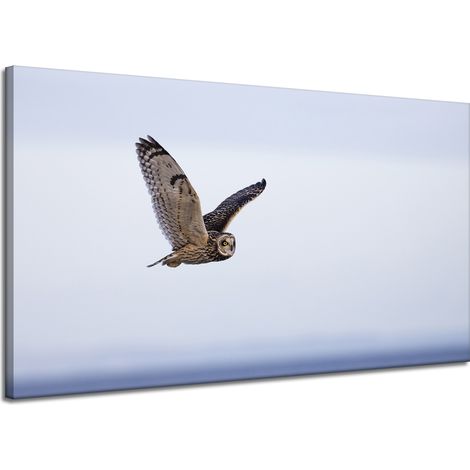 Lienzo impreso con la imagen de un búho en vuelo, 120 x 70 cm.