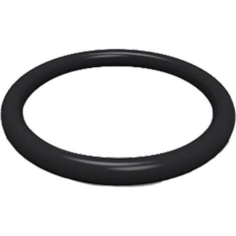 O-RING PER NIPLES M20 x 2