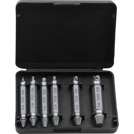 BARKBUSTERS 6 Pièces Extracteur de Vis Cassé, Extracteur de Vis Dénudé, Extracteur à Vis à TêTe Double,Acier Haute Vitesse H.S.S 4341,pour Retirer Facilement de Goujon Abimées et Boulon Endommagées,Ar (1/4)