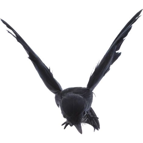 Oiseaux Artificiels Réalistes Des Bois Pour Décoration De Jardin Extérieur (1/5)