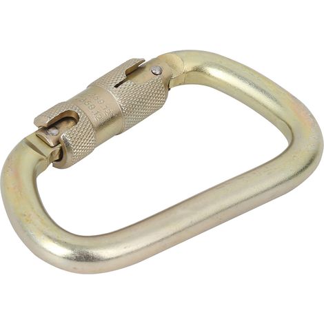 Mousqueton en forme de D à verrouillage automatique haute capacité Master Lock pour l'escalade en extérieur (doré) (1/5)
