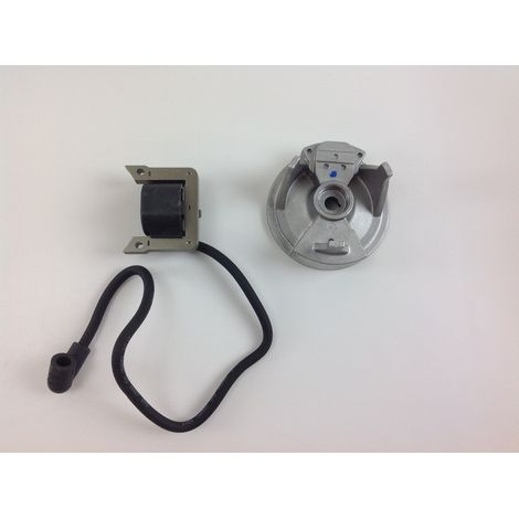 Bobine d'allumage EMAK pour brumisateurs AM 150 AM 180 et moteurs S 50 003601 (1/4)