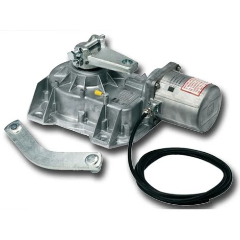 CAME FROG 001FROG-A24E FROG-A24E Motoréducteur souterrain pour portails battants 24 V Encodeur souterrain