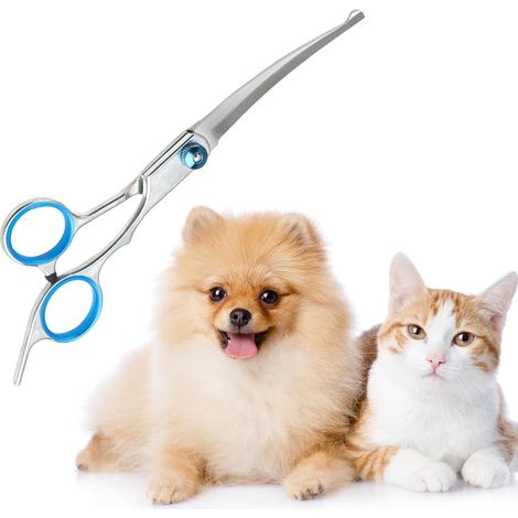 Ciseaux courbes pour toilettage d'animaux – Acier inoxydable avec pointe de sécurité arrondie