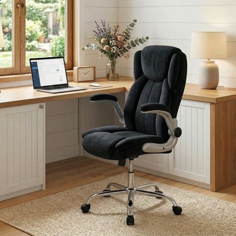 Silla de escritorio Ergonómica con Respaldo Alto Reposabrazos Abatibles Asiento con Muelles Altura Ajustable Negro (1/5)