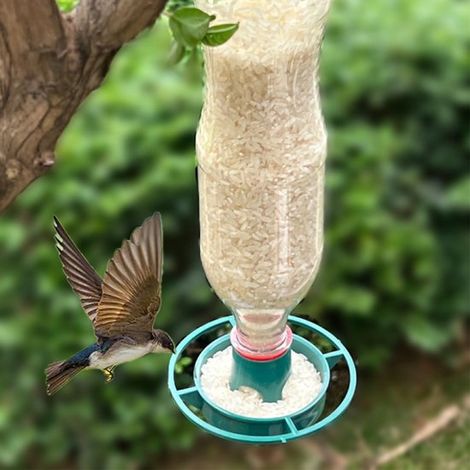 Comederos para pájaros, Comedero multifuncional, pinzones y loros, Material resistente y flexible para exteriores (1/4)