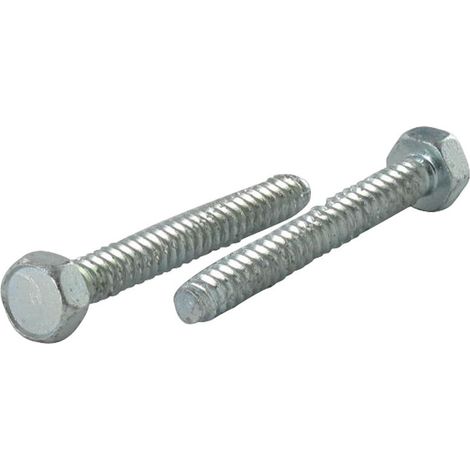 Vis tôle Autotaraudeuse Tête hexagonale TH 6.3X100 Inox A2 Acier zingué-10 pièces