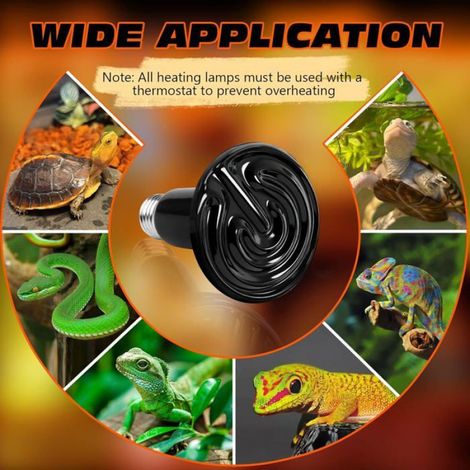 Lampe Chaleur Céramique - 100 W - E26 - Sans Lumière Visible - Pour Terrarium Reptile - 1 Pièce (1/5)