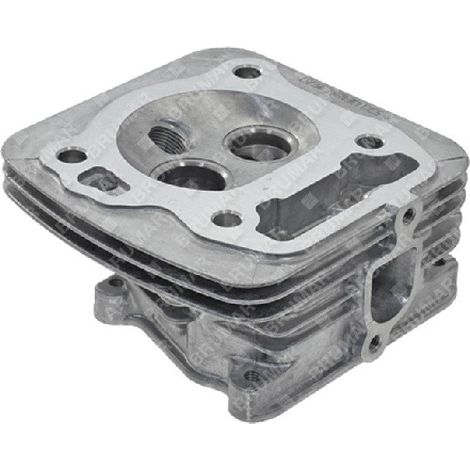 Testa cilindro per motori e rasaerba DUCAR 471001 Compatibile - 055556