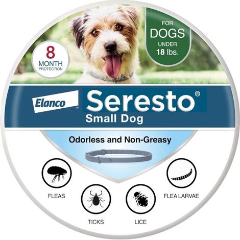 Collier antiparasitaire pour petits chiens, destiné aux chiens de moins de 8 kg, pour la prévention contre les puces et les tiques