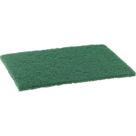Tampon abrasif vert professionnel grand modèle x10