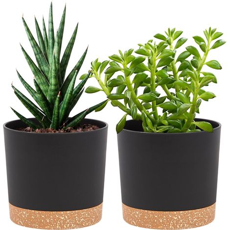 Lot de 2 Pot de Fleur Interieur,12.7cm Cache Pot Plante,Plastique Indoor Flower Pots avec Trous de Drainage et Base Amovible(Noir 12.7cm) (1/5)