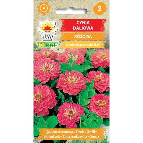 Dalia rosa zinnia 1g