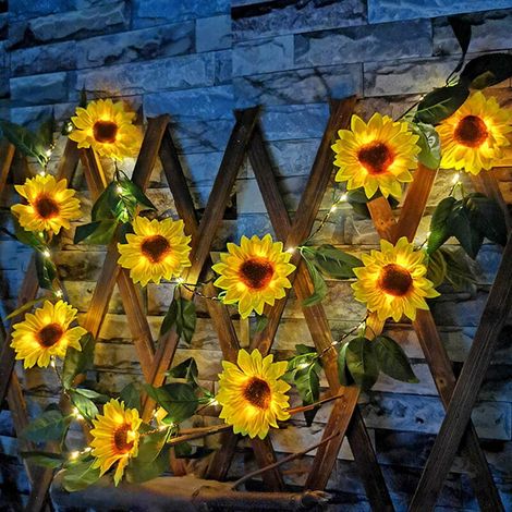 Guirlande lumineuse solaire en rotin pour fêtes de jardin, moins de 2,00 €, guirlande de 10 m-AquaForge