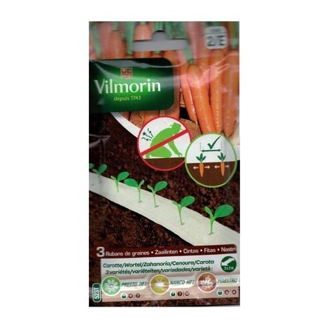 Semillas de ZANAHORIA NANCO HF1 (cultivo fácil)