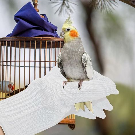 Beißfeste Schutzhandschuhe für Papageien - Vogeltraining mit nagendem Stahldraht (Weiß) (1/4)