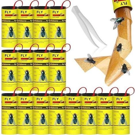 Packung mit 16 pestizidfreien Klebefallen für Fliegen zur Verwendung in Innenräumen oder Gewächshäusern. (1/5)