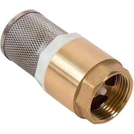 FENOPLASTICA88 x 37mm Clapet Crepine Anti Retour 1'' - avec Crépine en Acier inoxydable et Vanne à Sens Unique/Vanne non Retour/Clapet Anti-Retour Pompe (Non Queue) (1/4)
