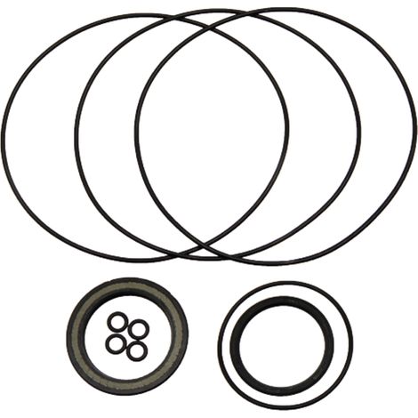 Kit di guarnizioni per BMS-B 87000874 GRANITE