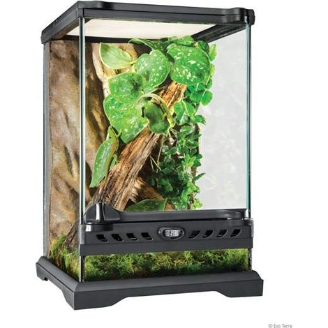 Terrario de cristal Exo Terra