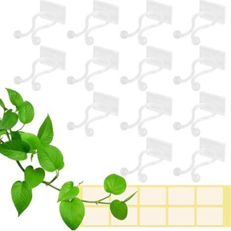 100Pcs Support Clip for Climbing Plants, Self-Adhesive Plant Clips, Green Vine Wall Fixing Clip, Wall Fixer, Stake Clip, Plant Wall Decoration,White (1/5)