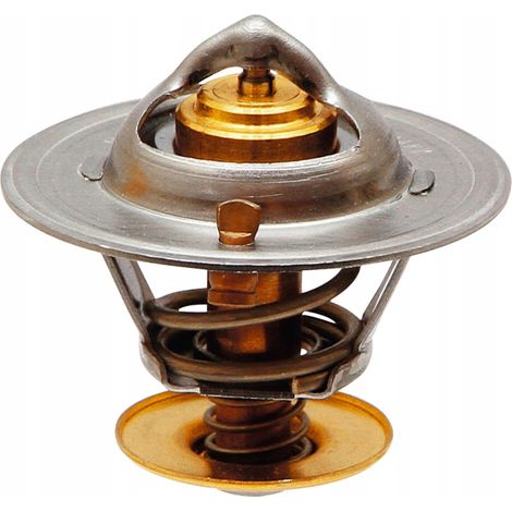 Thermostat 54 mm 74702272 GRANIT 2830734 2852159